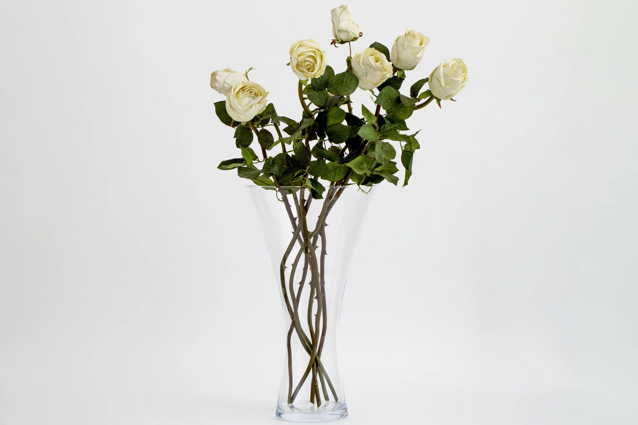 Outlet Flamant Belluno, Vaas, Glas, L