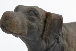 Best Flamant Blakeley, Hond