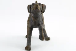 Best Flamant Blakeley, Hond