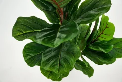 Outlet Flamant Fiddle Leaf-Vijg, Plant
