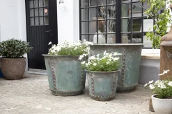 Hot Flamant Manoli, Planter, S