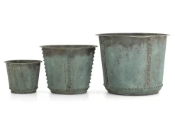 Hot Flamant Manoli, Planter, S