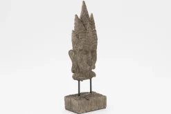 Online Flamant Saras, Hoofd