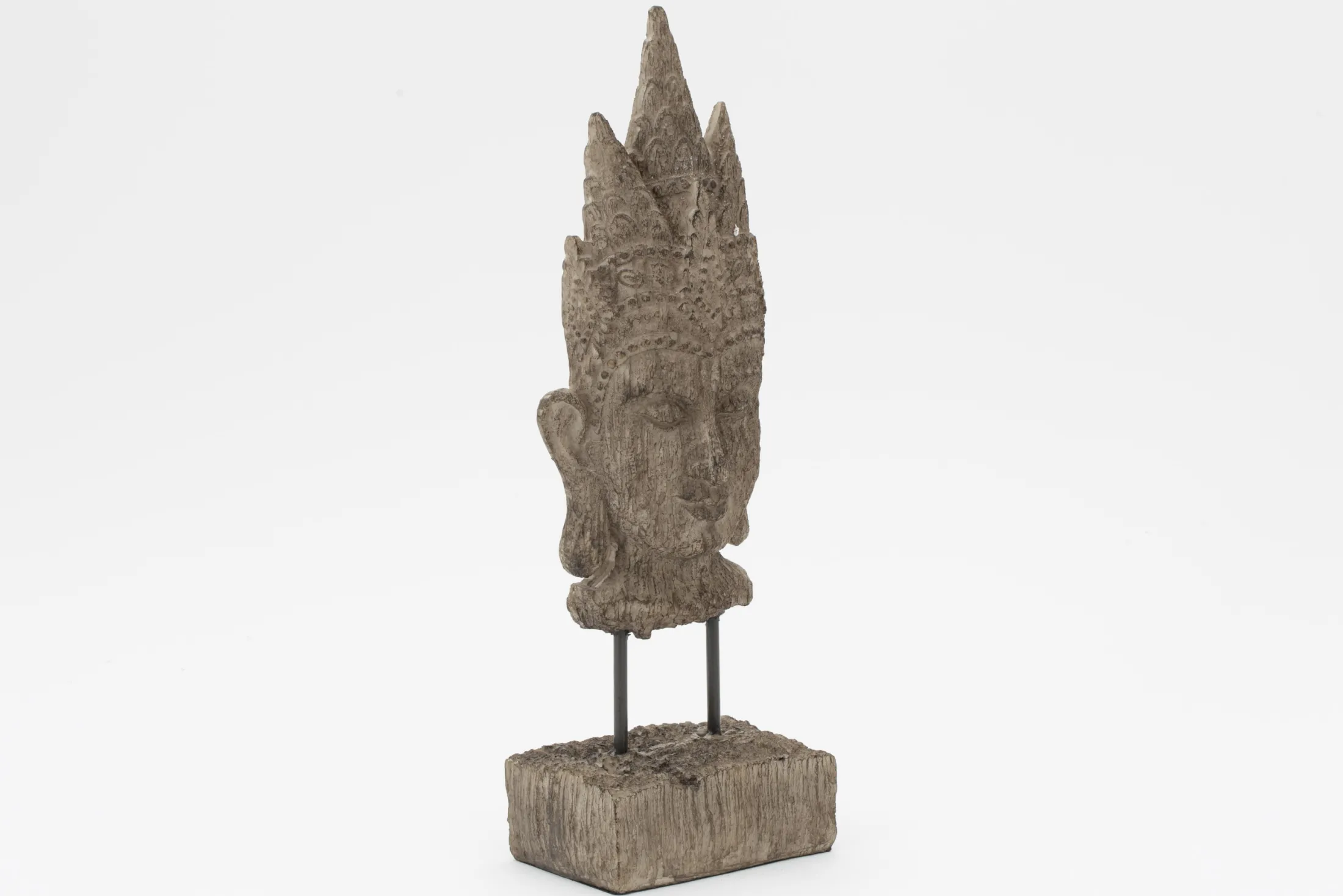 Online Flamant Saras, Hoofd