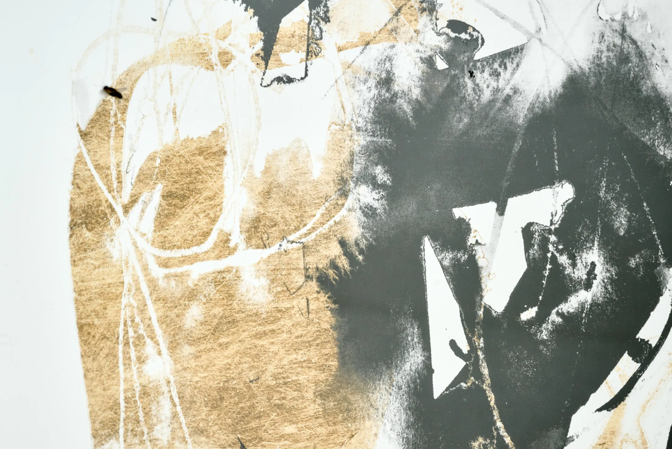Flamant Zwart-Gouden Splash, Kunst Aan De Muur, Model 3